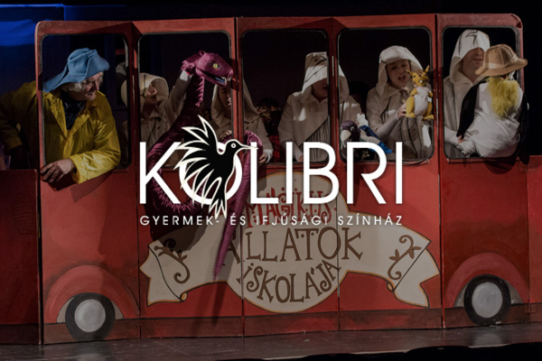 egyedi webáruház, webáruházkészítés, webshopkészítés