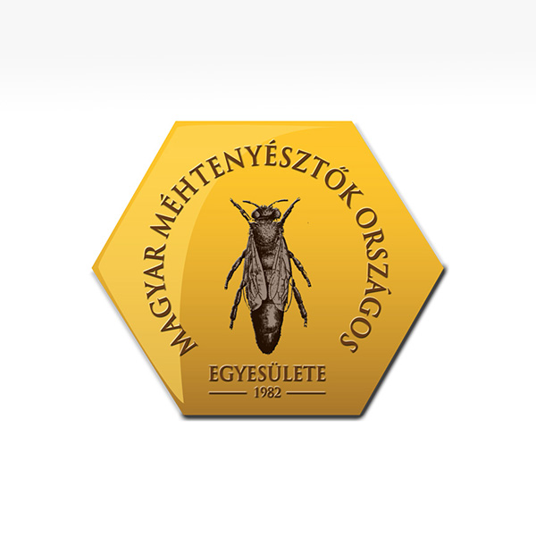 egyedi weboldal, cms, html, webáruházkészítés, weboldalkészítés, honlap